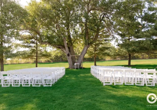 tree-chairs-wedding1